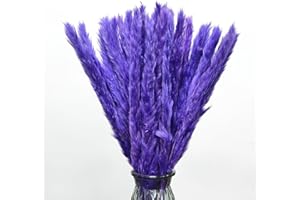 EEAIVNM 30PCS Small Pampas Grass Dried Flowers Dried Natural Floral Arrangement Decoration Reed Dried Grass,Eternal Flower Pampas Reed Dried Grass Used for Home,Wedding,Party,Flower Bouquet,Photo (Purple)