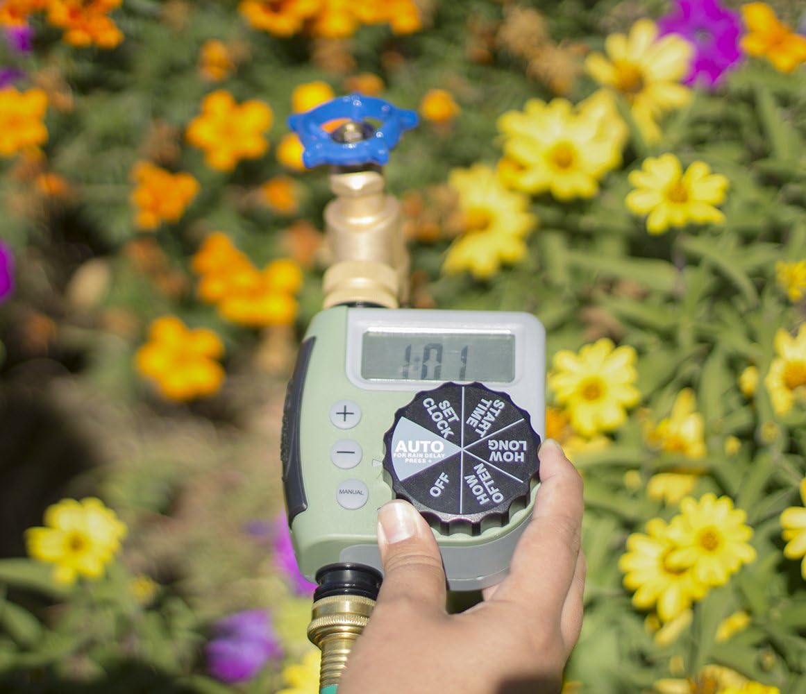 Orbit 62056 One Outlet Single-Dial Hose Watering-timers : Watering Timers : Garden & Outdoor