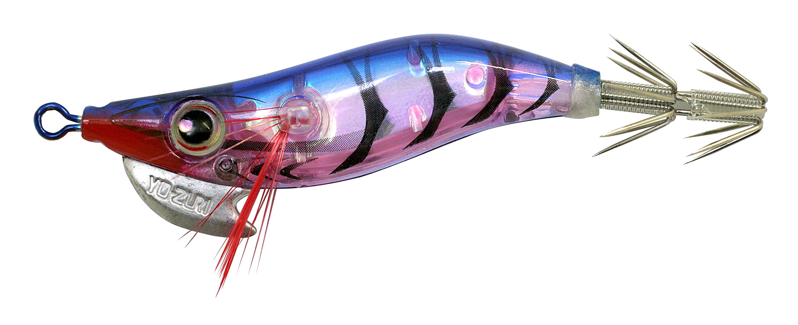 A1607-KPBL EGI Aurie-Q "Rs" Aurora #1.6, 2", Blue UV, 1.6 2"