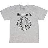 Harry Potter Big Boys Hogwarts Quadrant T-Shirt