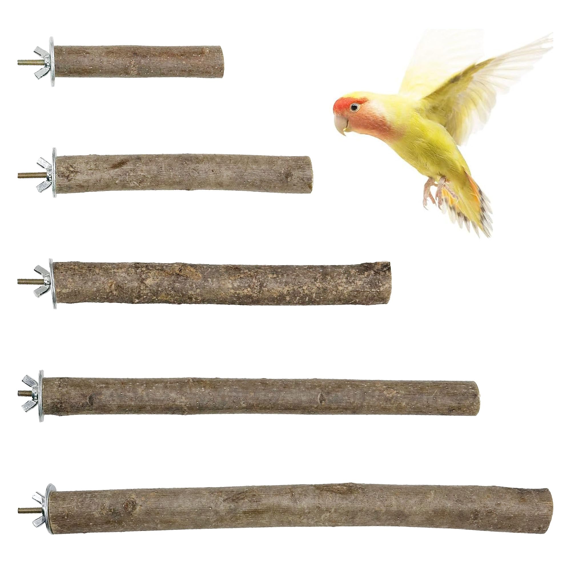 Attuslla 5 PCS Perch Bird Stand Toy Natural Wood Platform Natural Wood Bird Perch Stand for Small Birds Cockatiels Lovebirds Budgie Parrot