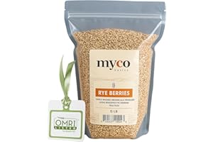 Rye Berries for Mushroom Spawn - Organic, Triple Washed Rye Grain to make Mushroom Grainspawn by Mycology Basics - 5 lbs