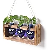 Plant Terrarium Propagation Stations Hydroponics Home Garden Decoration Gift for Women with Wooden Stand Heart Shaped Colored Glass Vase
