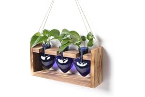 RCXSIGNS Plant Terrarium Unique Birthday Gift for Women Wall Planters for Indoor Hydroponic Plant Propagation Stations Heart Shaped Glass Vase with Wooden Stand