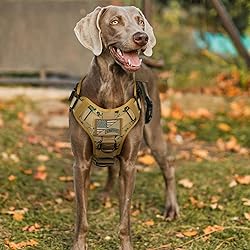 rabbitgoo Tactical Dog Harness for Large