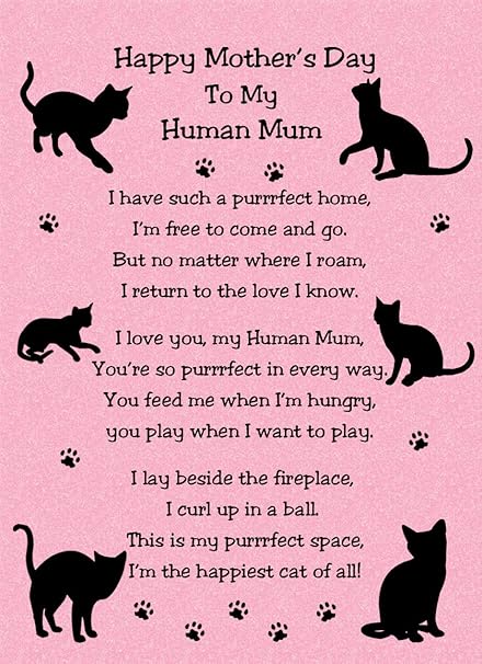cat mum mothers day