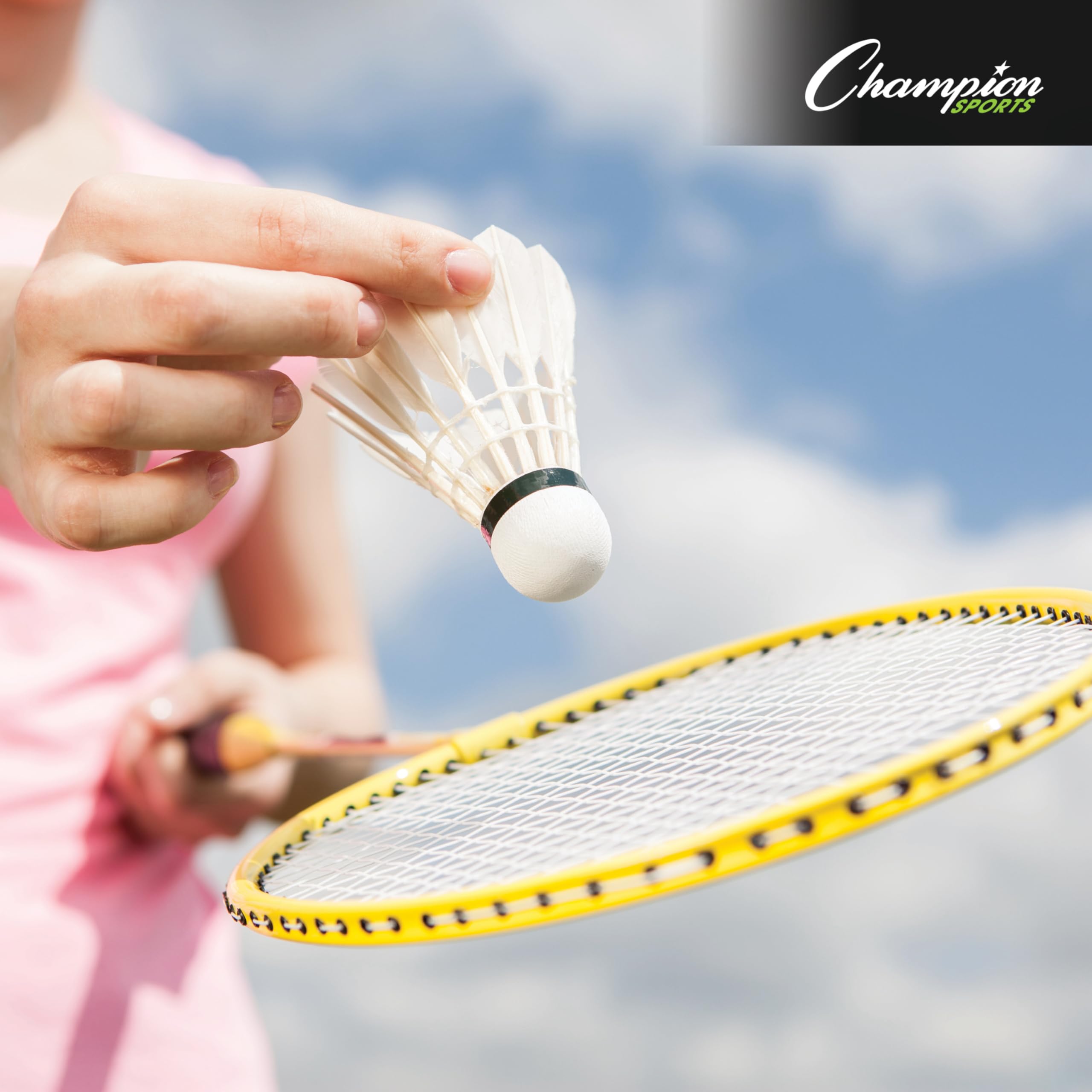 Outdoor Badminton Set