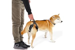 Dog Lift Harness, Rear Support Harness, Adjustable Pet Dog Support Harness, Assist Pet Walking, Pet Rear Lifting Harness Nigh