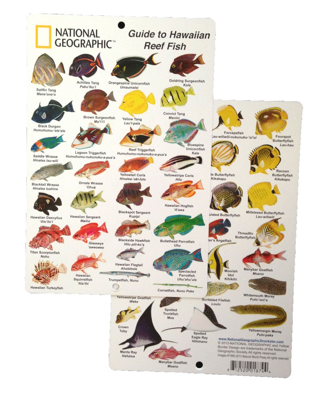 National Geographic Guide To Hawaiian Reef Fish Fish ID Card 6 In