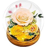 Preserved Flowers for Mom - Preserved Champagne Roses in Glass Dome with LED Light for Girlfriend, Eternal Real Flowers for Women, Unique Long-Lasting Gift to Celebrate Christmas (Prime Delivery)