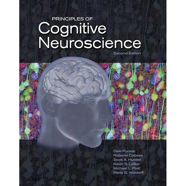 Essential Neuroscience: 9780781783835: Medicine & Health Science