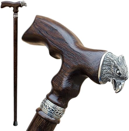 the best walking sticks