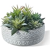 yel canby 6inch Artificial Succulent Plants in Pots,Fake Succulents with Grey Textured Ceramic Pot for Home Office Desk Bathroom Coffee Table Decor