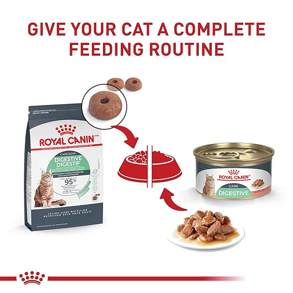 ROYAL CANIN FELINE CARE NUTRITION DIGESTIVE CARE ADULT DRY CAT FOOD, 6 LB BAG