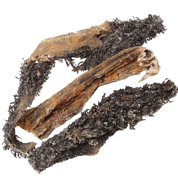 Schecker Dogreform Pansen Natur Rinderpansen grün für Den Hund getrocknet