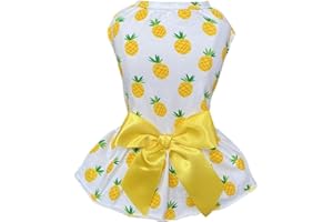 Petroom Small Dog Dresses,Cute Princess Floral Skirt Cat Apparel Female for Yorkie(Pineapple S)