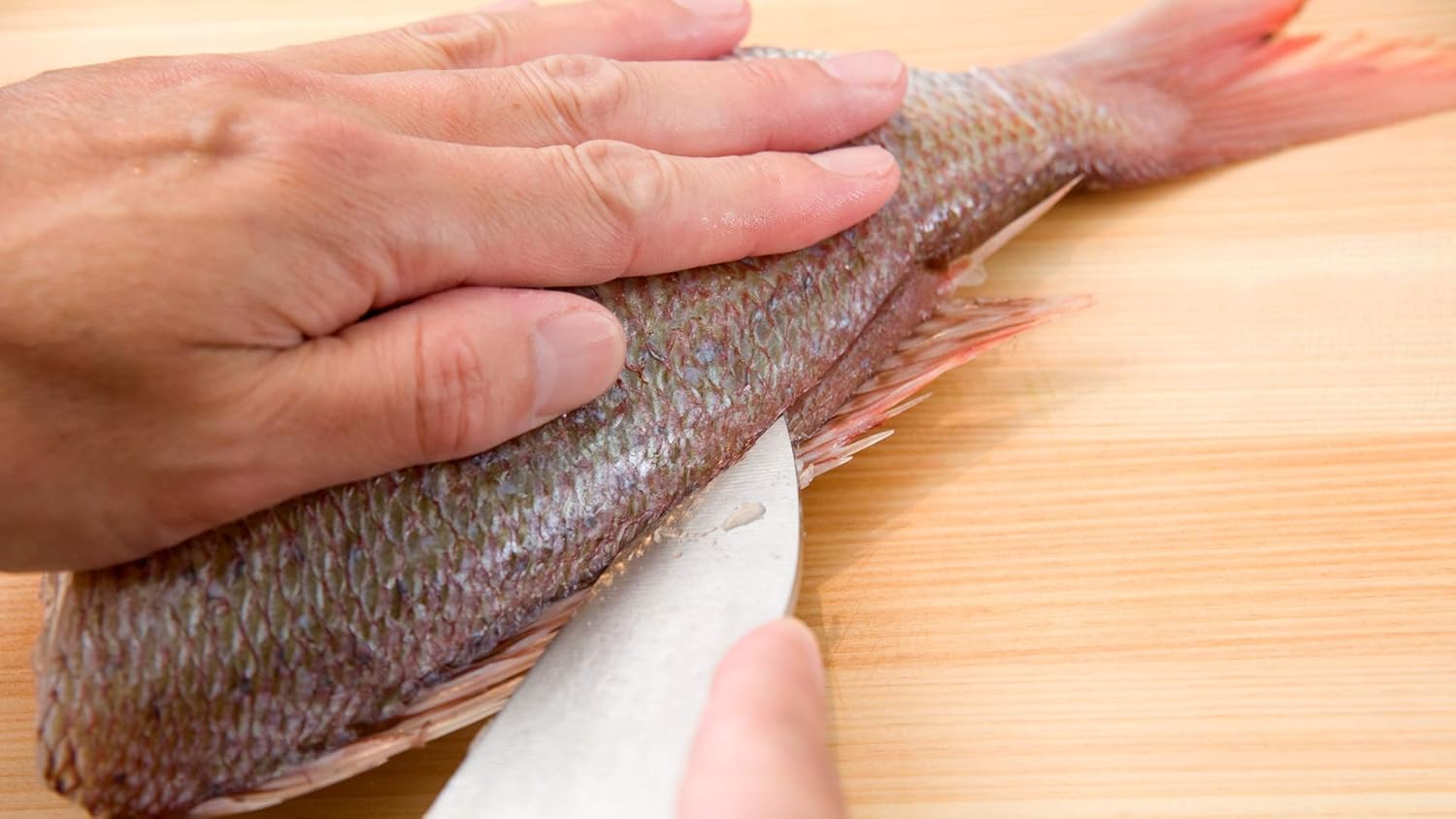 小出刃 12cm IST05