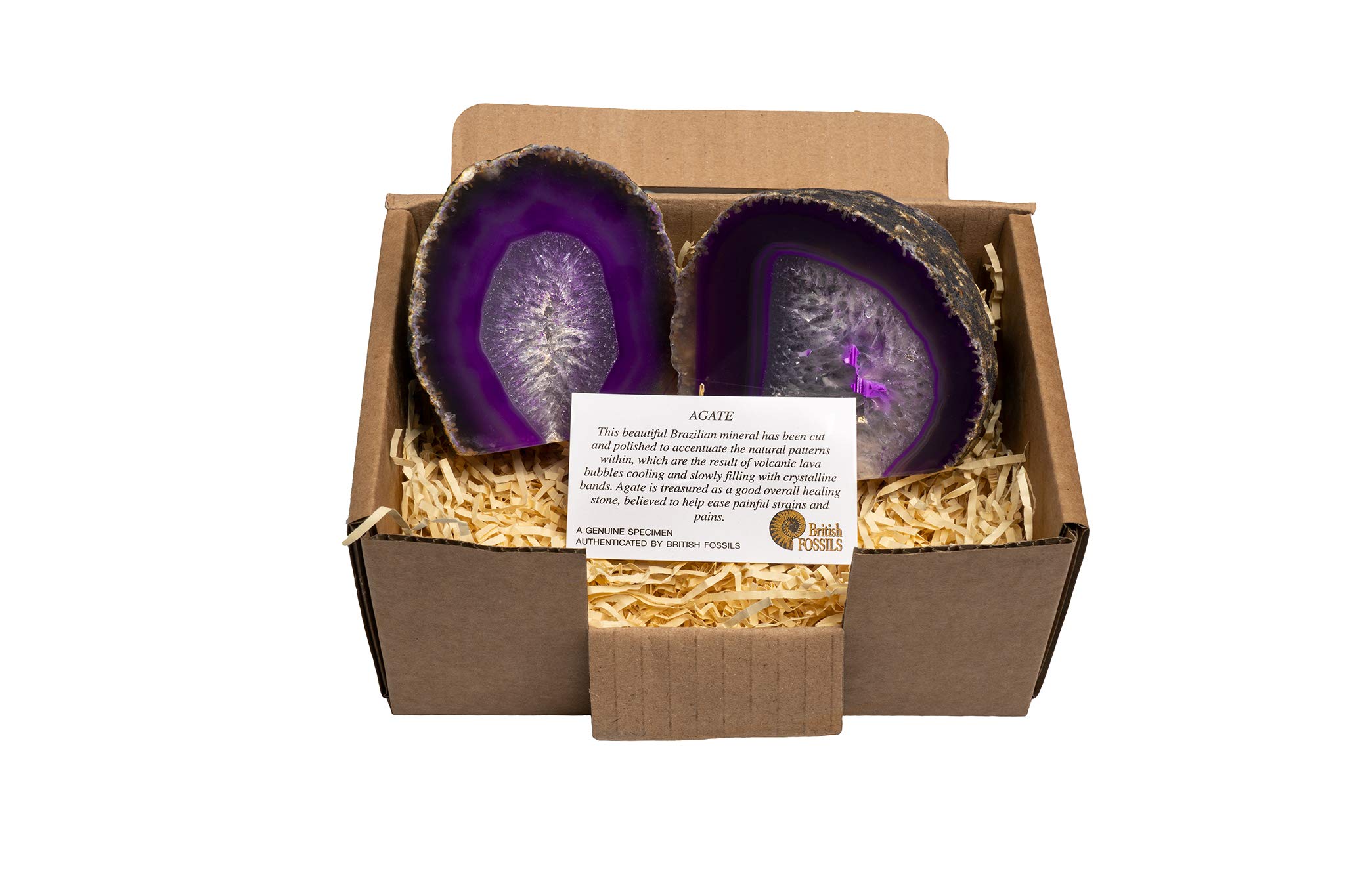 British Fossils Gift Boxed Genuine Brazilian Agate Ornament (Purple - Set of 2)