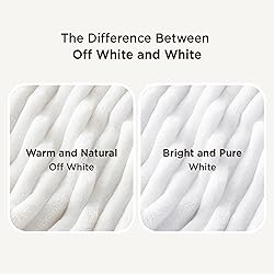 Bedsure GentleSoft Blankets Queen Size for Bed