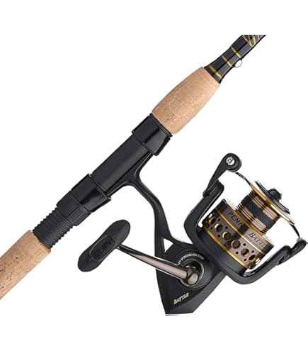Amazon.com : Daiwa BG5000/701H BG Saltwater Pre-Mounted Combo