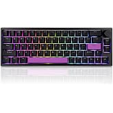 BOYI 66Pro Rapid Trigger Magnetic Switch Mechanical Keyboard,65% Hyper-Fast Actuation Point Adjustable Dedicated 8K Hz Polling Rate HotSwap RGB Wired Gaming Keyboard with Knob (Black)