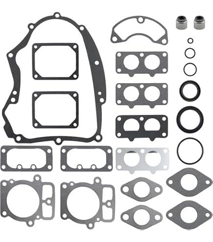 Amazon.com : Briggs & Stratton 698340 Bushing/Seal Kit Replacement