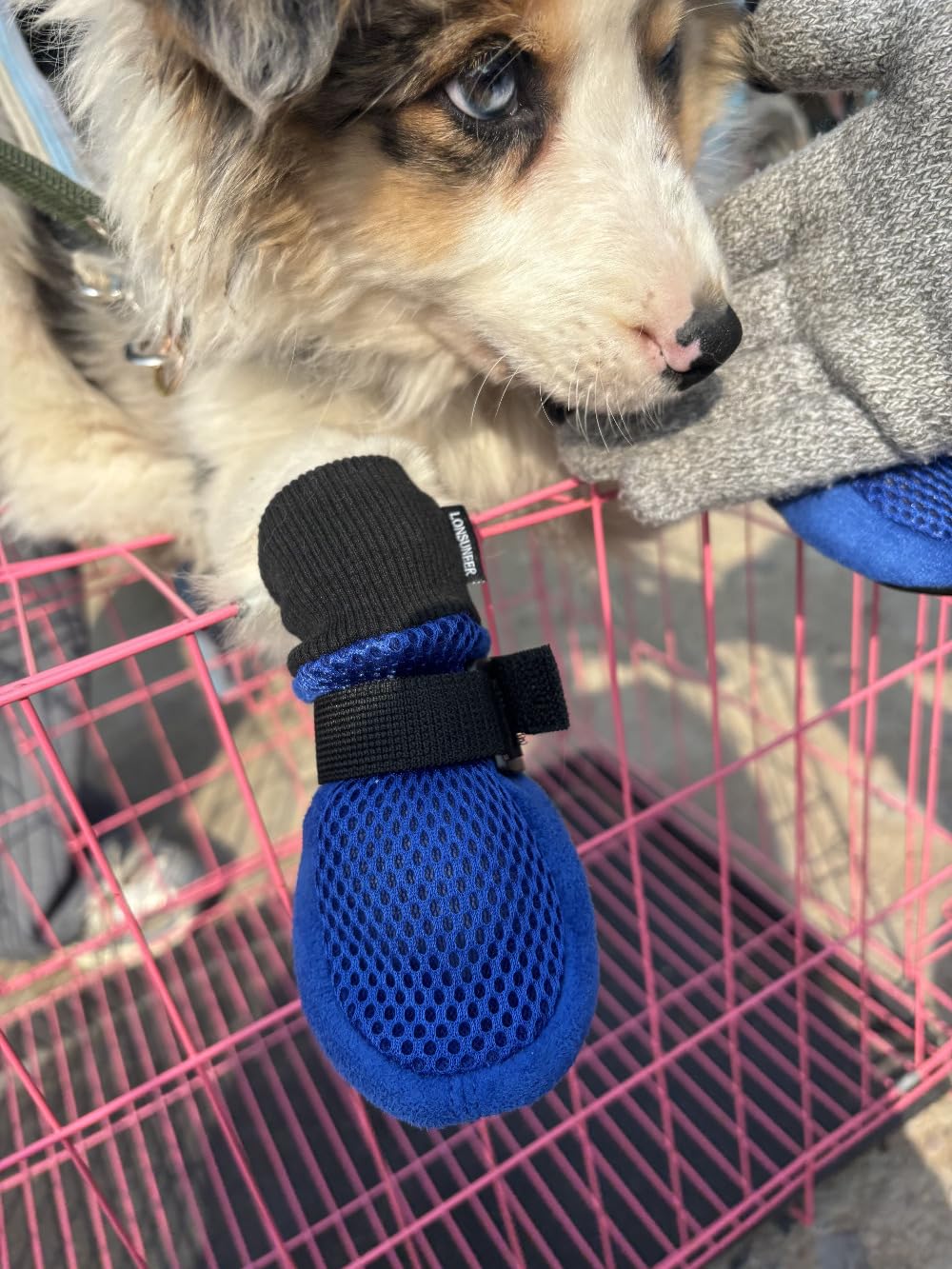 LONSUNEER Dog Shoes Soft and Lightweight, Dog Booties with Breathability Fabric, Dog Boots for Spring Summer and Fall Set of 4 Size Small Color Blue