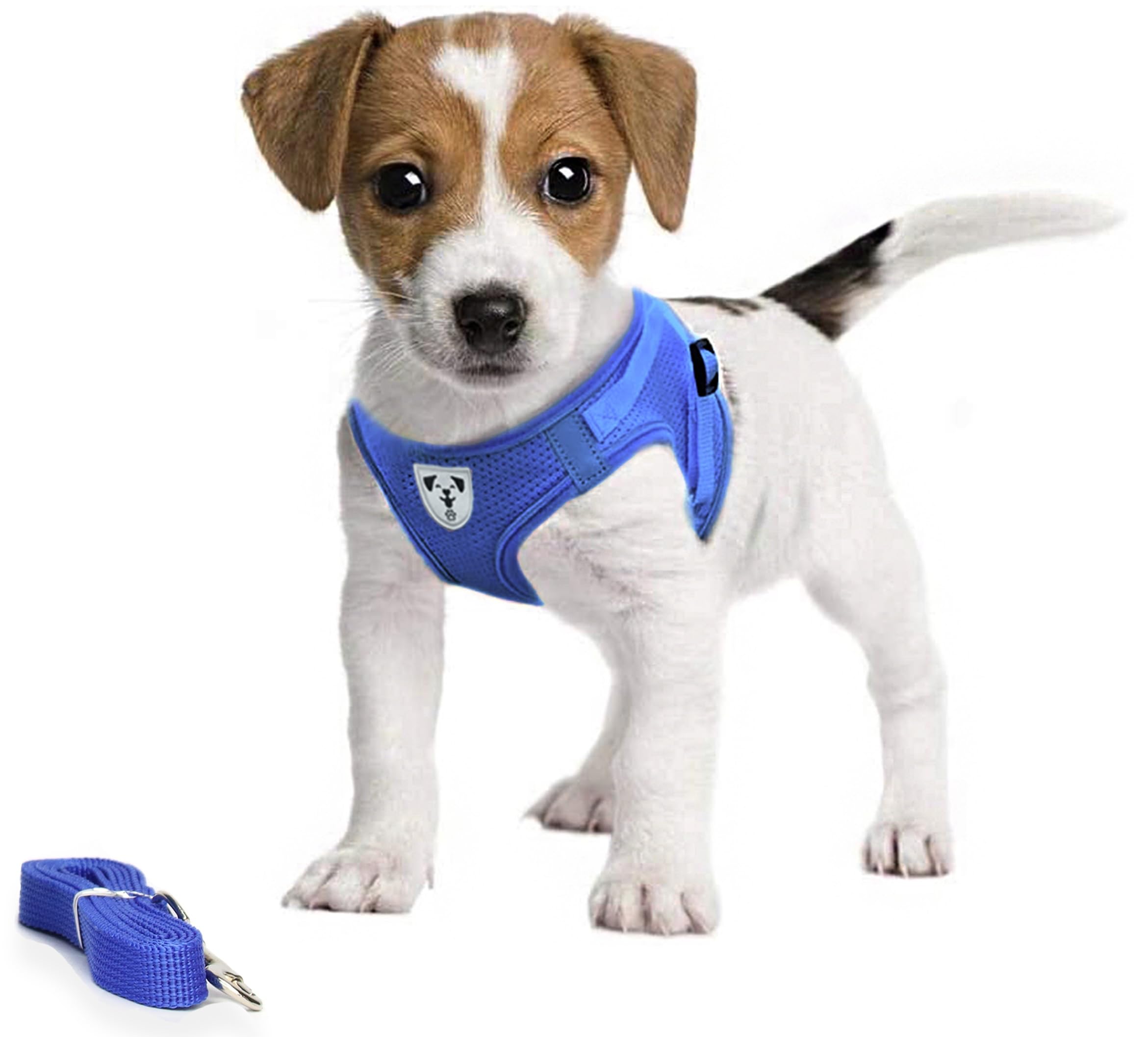 Pet's Playground No Pull Dog Harness for Puppies | Small Dogs | Extra Small & XL - Blue