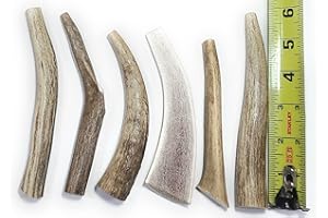 Big Dog Antler Chews 6 Pack for Small Dogs | All Natural Organic Deer and Elk Antler Dog Chews | 0 to 20 Pounds