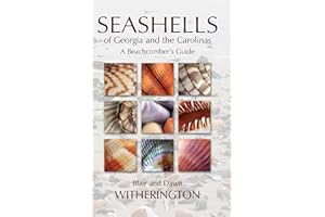 Seashells of Georgia and the Carolinas