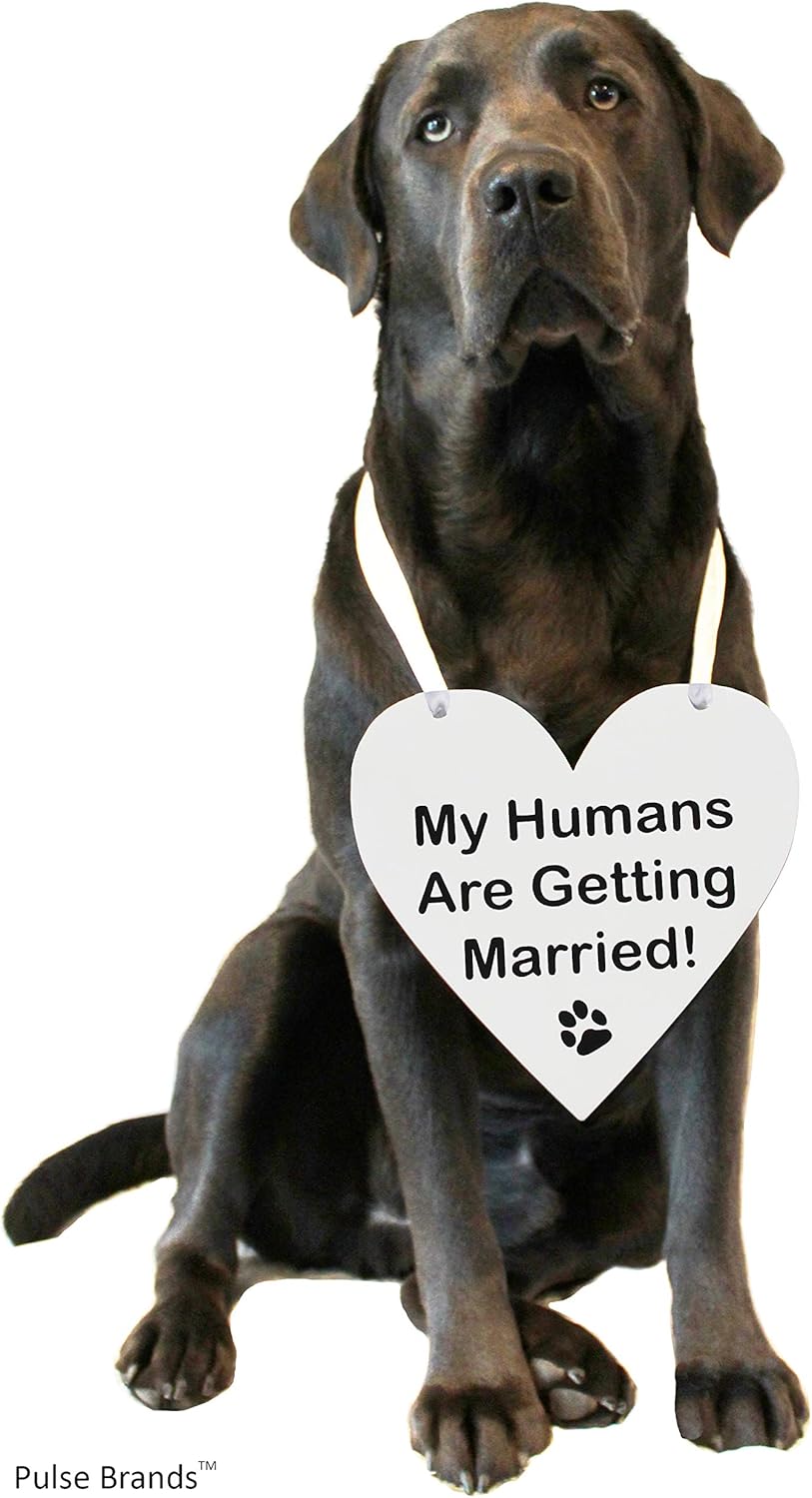 Pulse Brands Engagement Photo Prop Sign - My Humans are Getting Married - Engagement Gifts - Bride to Be - Engaged - Engagement Gifts for Couples (White)