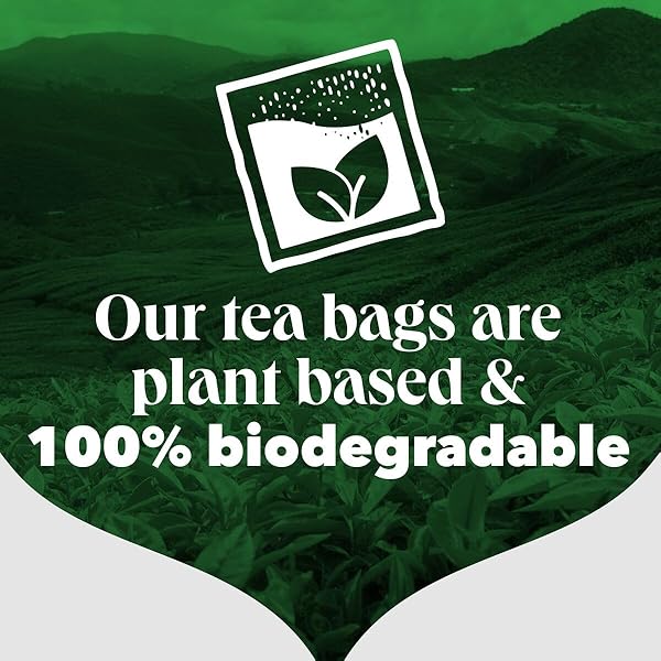 PG TIPS PREMIUM BLACK TEA FOR A CLASSIC CAFFEINATED BEVERAGE, BLACK TEA BAGS, 240 TOTAL BAGS (40 COUNT – PACK OF 6)