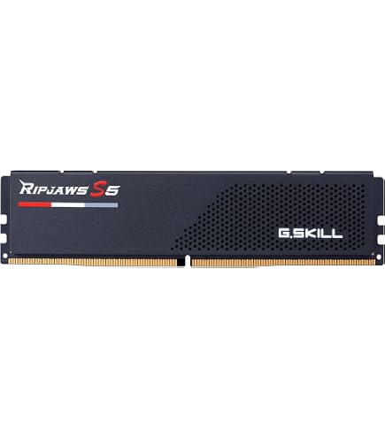 Amazon.com: G.SKILL Flare X5 Series DDR5 RAM (AMD Expo & Intel XMP