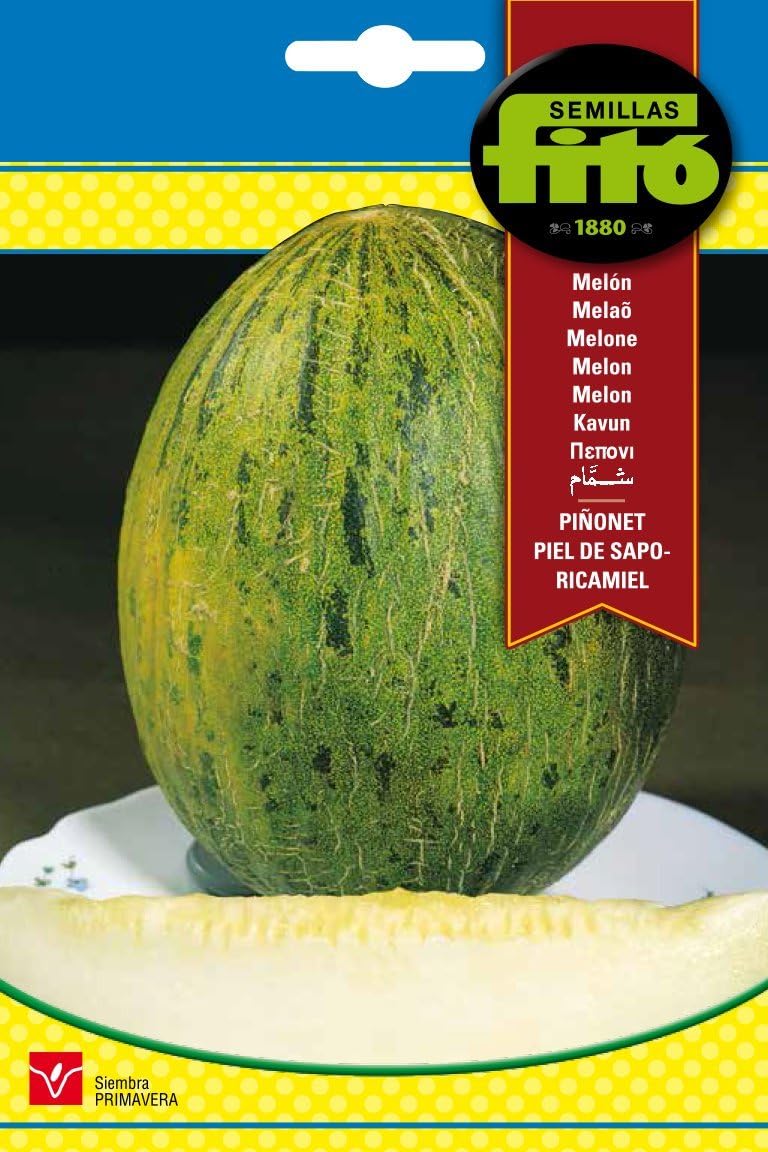 Semillas Fitó 217 - Semillas de Melón Piñonet Piel de Sapo ...