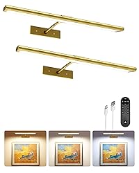 EZVALO Picture Light for Wall, 4800mAh Rechargeable