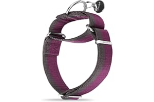 Dazzber Martingale Collar 1.5 Inch Wide 1200D Extra Strong Nylon Dog Collar, No Pull Heavy Duty Dog Collar with 2-Color Stripe for Medium to XLarge Dogs (Medium, 1 1/2 Inch Wide, Purplish Red &Grey)