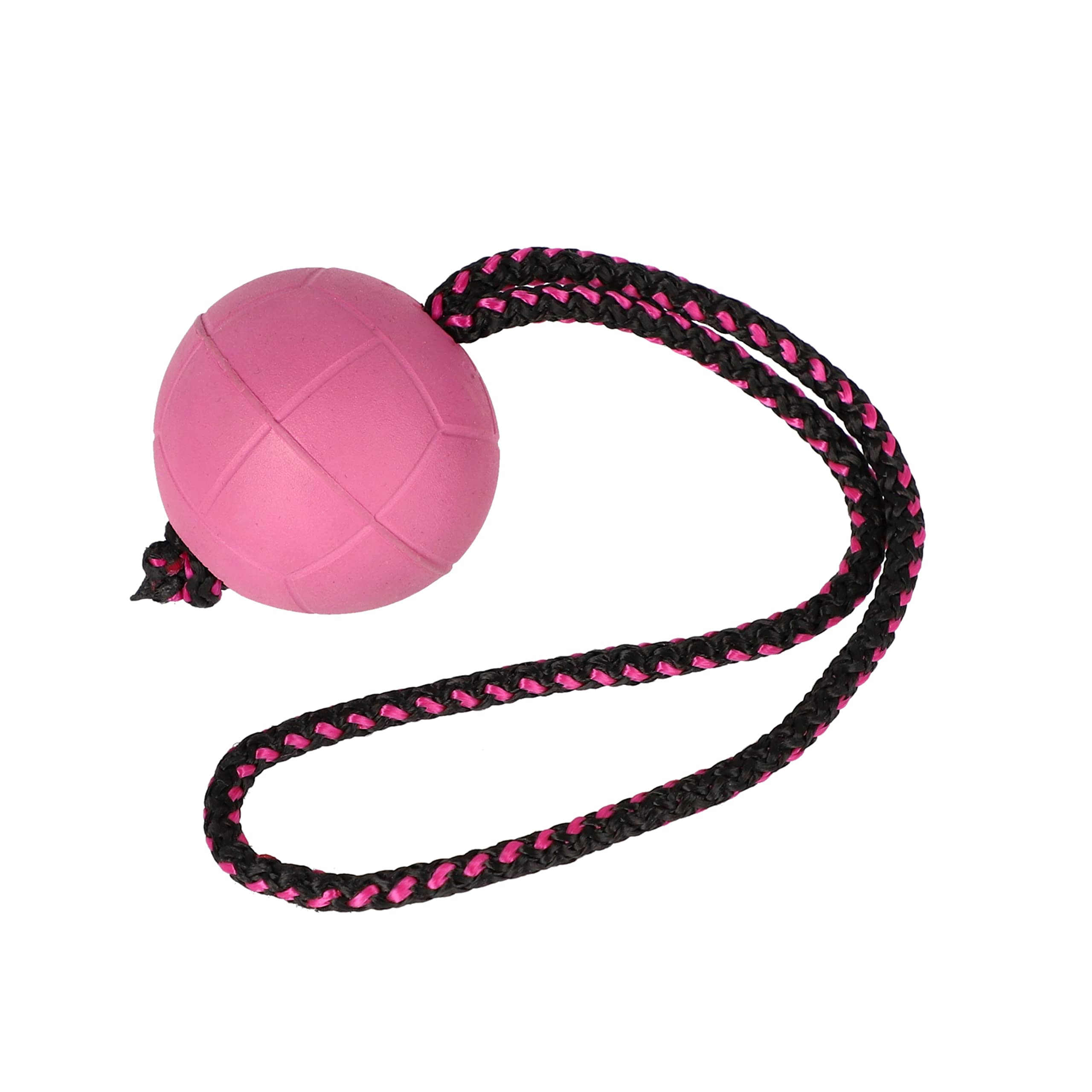 Dingo Waldemar Rutkowski BIBI Floatable Rubber Dog Ball Ø7 cm with Durable 30 cm String Handle for Water Training, Fetch, Agility & Play - Blueberry (17251)