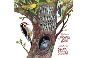 How to Find a Bird