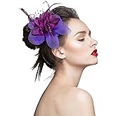 TS Accessories Headwear Elegant Luxurious Feather Mesh Fascinators Hair Clip for Wedding/Banquet/Party/Church