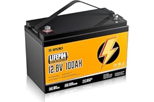 LiFePO4 Battery Built-in 100A BMS, Deep Cycle Batteries, Grade A Lithium with Low-Temp Protection, Lithium Iron Phosphate Bat