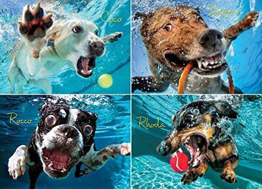 WYBFLF 1000 Piece Jigsaw Puzzle for Adults Entertainment Wooden Puzzles Toys-Pool Underwater Dogs Modern Home Decor Festival Gift Intellectual Game