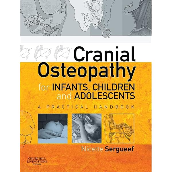 健康・医学 Trauma: An Osteopathic Approach Pdf Ebook Trauma: An Osteopathic Approach by Jean-Pierre