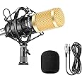 Neewer® NW-800 Professional Studio Broadcasting & Recording Microphone Set Including (1)NW-800 Professional Condenser Microphone + (1)Microphone Shock Mount + (1)Ball-type Anti-wind Foam Cap + (1)Microphone Power Cable (Black)