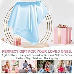 Mulberry Silk Pillow Cases 2 Pack Queen Size 20x30
