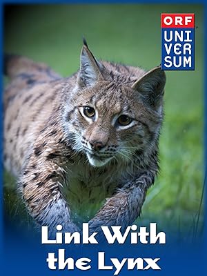 Amazon Co Jp Link With The Lynx Tomas Hulik Generic