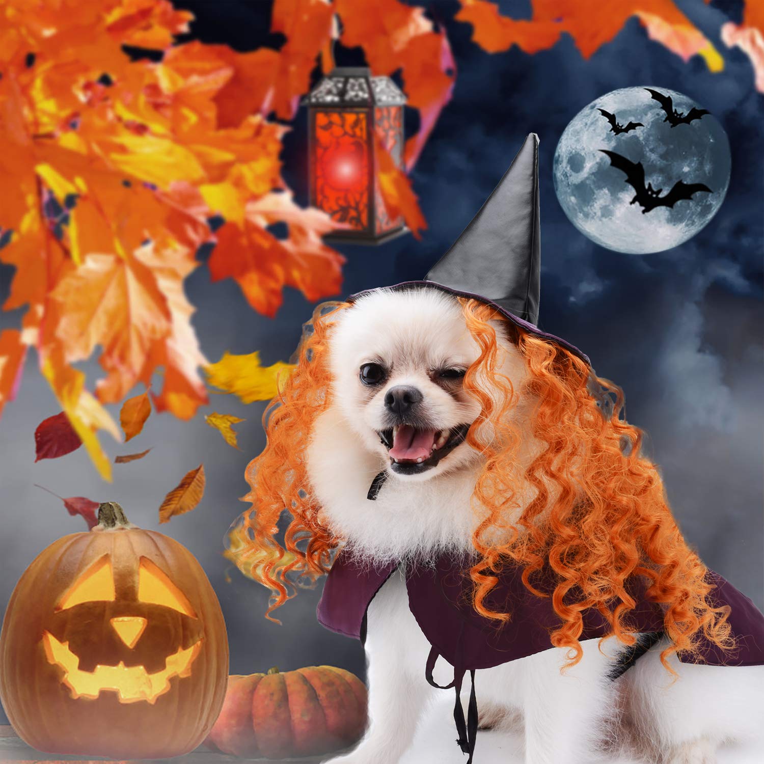 Legendog Halloween Hund Kostüm Set, Lustiger Hund Kostüm Umhang Hund Cosplay enthält Hut Umhang Cute Dog Kostüm Pet Kostüm Set