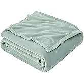Hansleep Fleece Celadon Full Blanket, Super Soft Flannel Fuzzy Plush Cozy Blanket for All Seasons, Celadon, Full 84x90 Inches