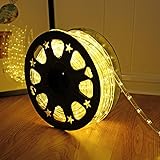 50ft 360 LED Waterproof Rope Lights,110V