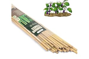 Cambaverd 6ft Bamboo Garden Stakes Eco-Friendly Plant Stakes 6 Feet, Bamboo Poles for Tomatoes Beans Climbing Plants Support - Pack of 20 Bamboo Stakes Natural