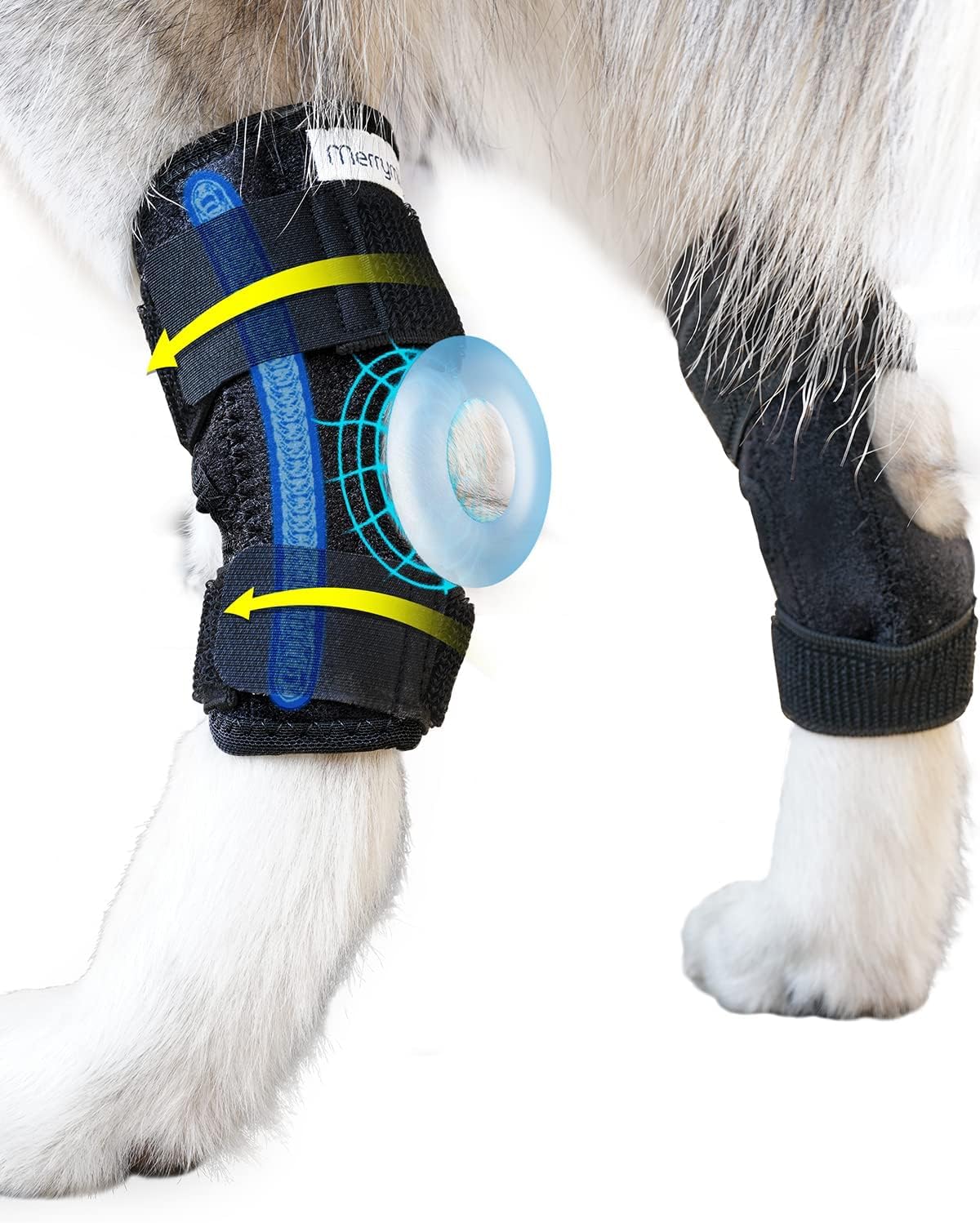 Photo 1 of MerryMilo Dog Leg Brace for Rear Hock & Ankle, Canine Hind Leg Joint Compression Wrap for Torn ACL & CCL, Injury and Sprain Protection, Wound Care and Loss of Stability 1 Pair, Size: Small